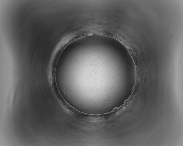 X0000115380245200911101312