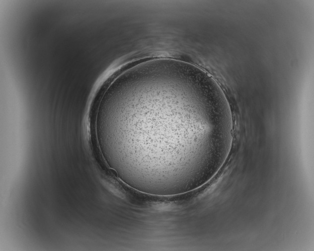 X0000115380246200911101312