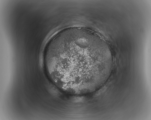 X0000115380247200911101312