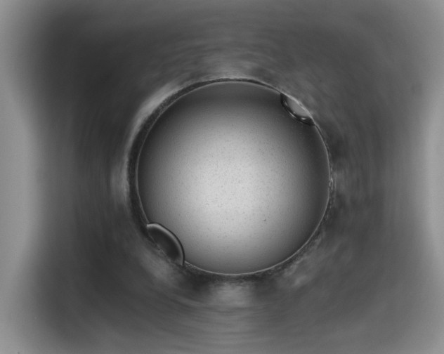X0000115380248200911101312