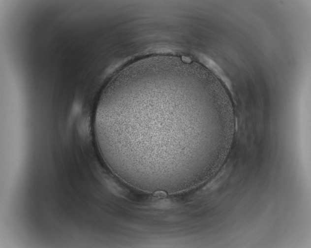 X0000115380249200911101312