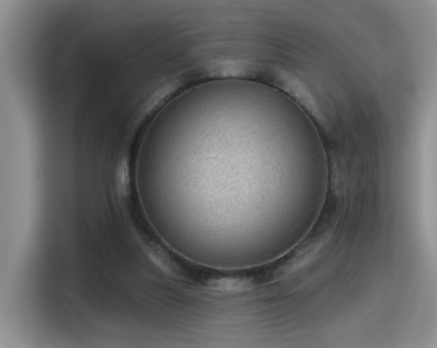 X0000115380251200911101312
