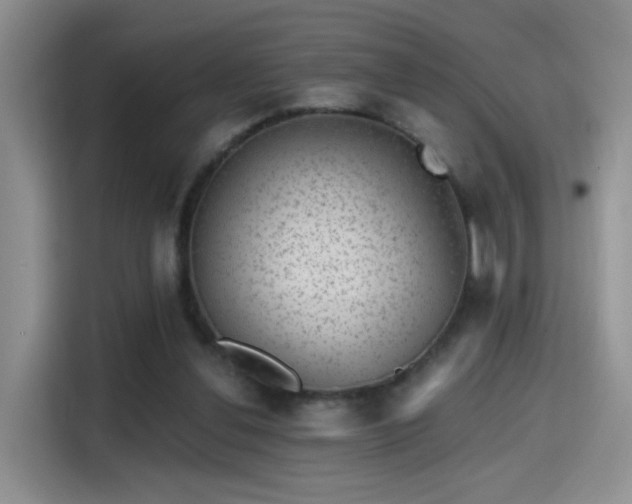 X0000115380252200911101312