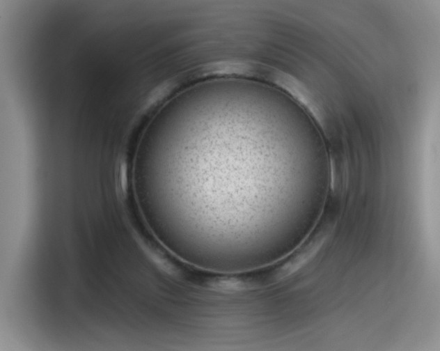 X0000115380253200911101312