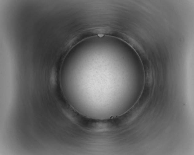 X0000115380255200911101312