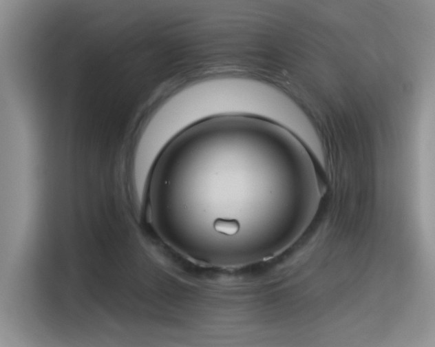 X0000115380256200911101312