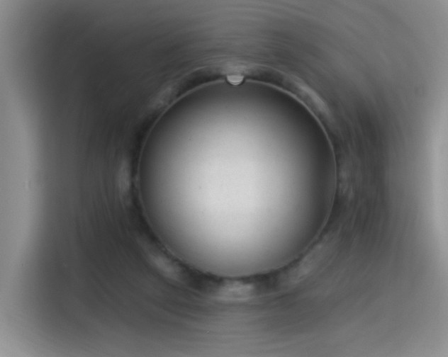 X0000115380257200911101312