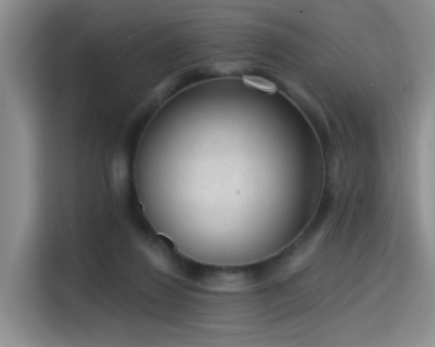 X0000115380260200911101312