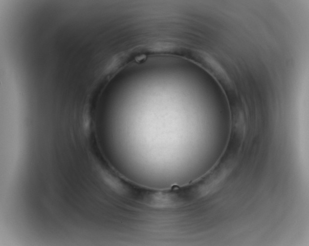 X0000115380261200911101312