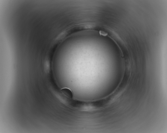 X0000115380262200911101312