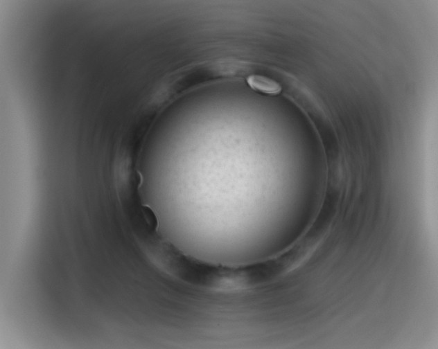 X0000115380263200911101312