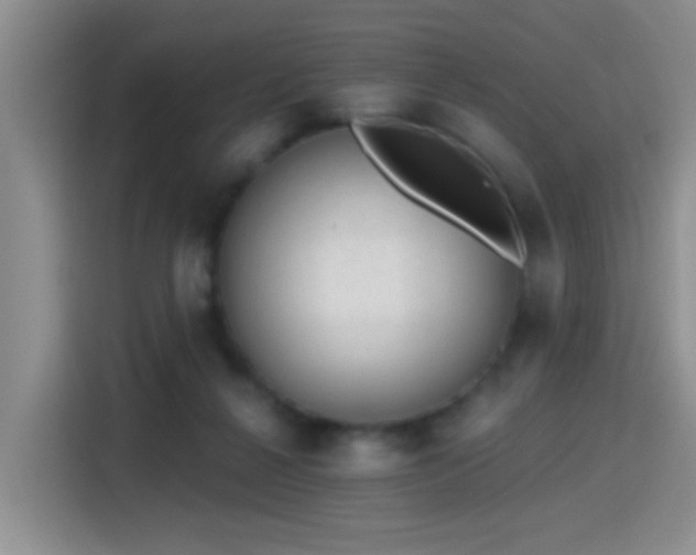 X0000115380264200911101312