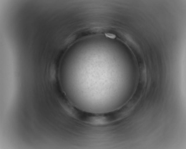 X0000115380266200911101312