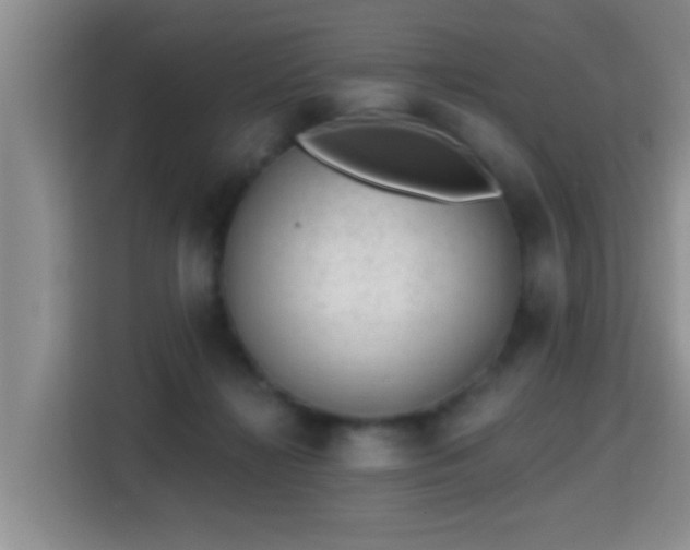 X0000115380268200911101312