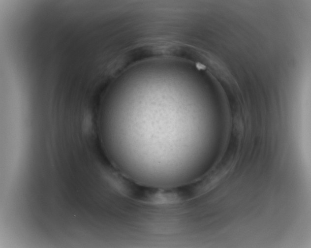 X0000115380270200911101312