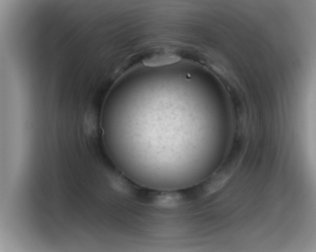 X0000115380274200911101312