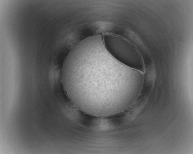 X0000115380276200911101312