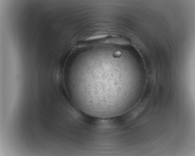 X0000115380277200911101312