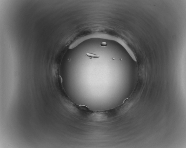 X0000115380280200911101312