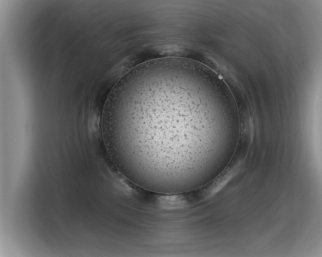 X0000115380281200911101312