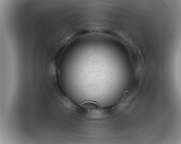 X0000115380282200911101312