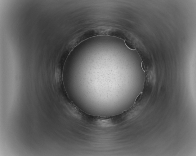 X0000115380283200911101312