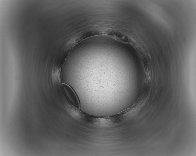 X0000115380286200911101312