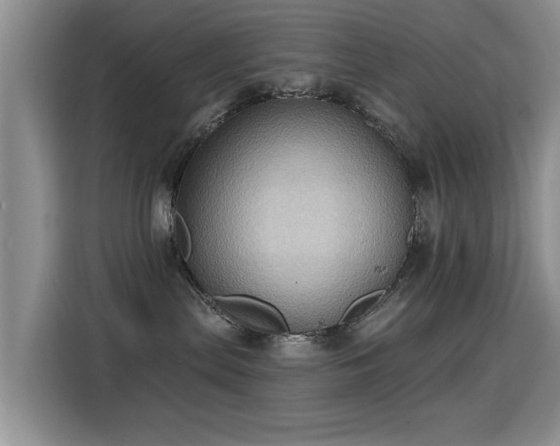 X0000115380287200911101312