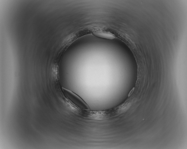 X0000115380288200911101312