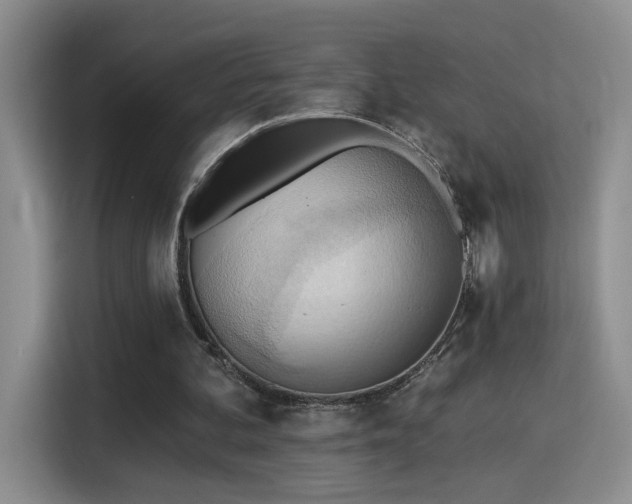 X0000115380292200911101312