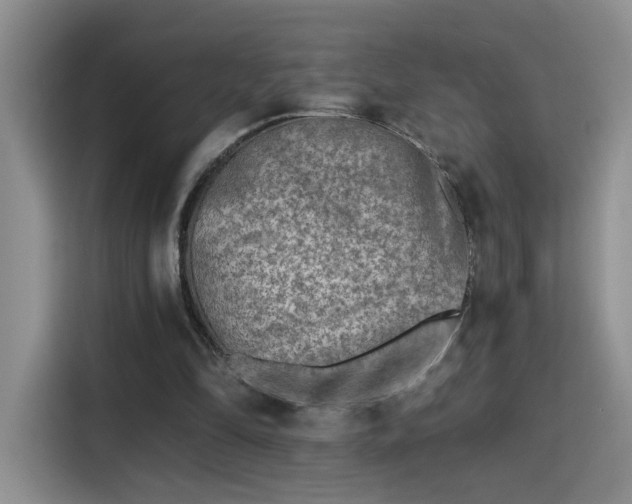 X0000115380294200911101312