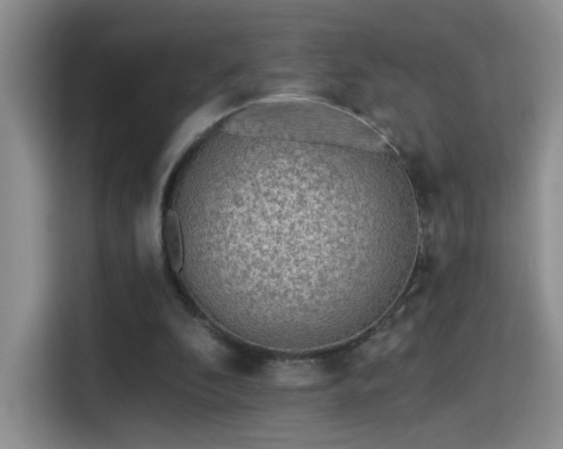 X0000115380296200911101312