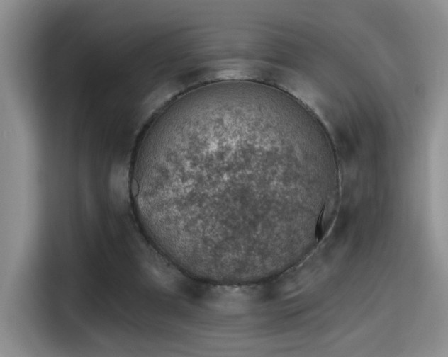 X0000115380297200911101312