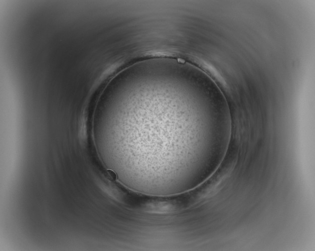 X0000115380299200911101312