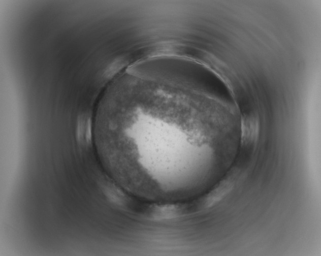 X0000115380301200911101312