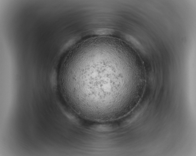 X0000115380303200911101312