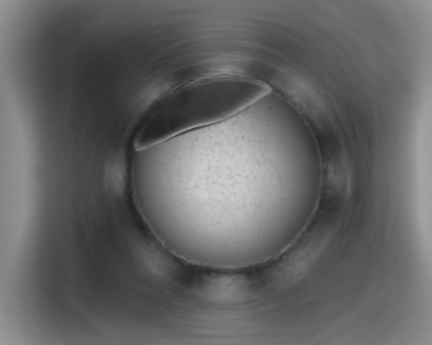 X0000115380304200911101312