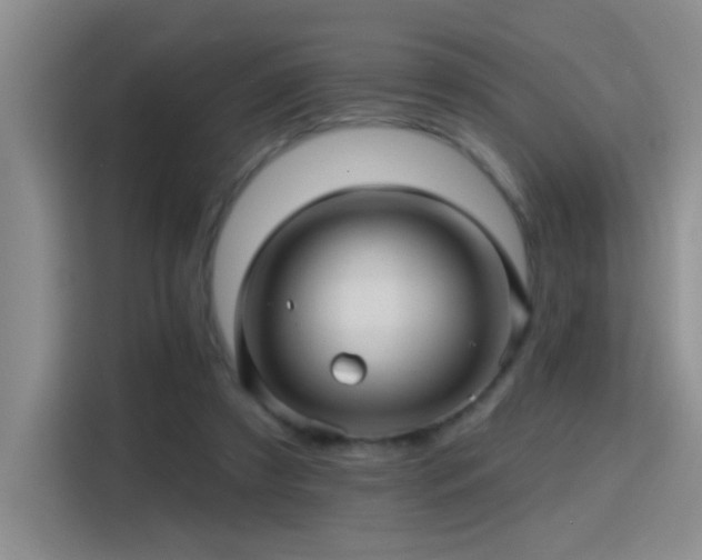X0000115380305200911101312