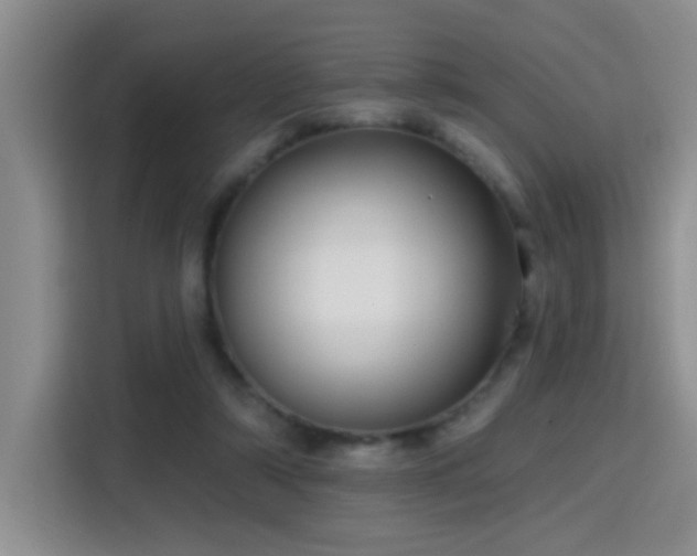 X0000115380306200911101312