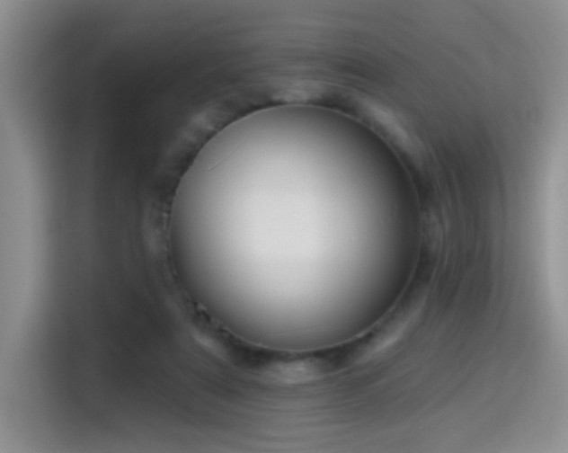 X0000115380307200911101312