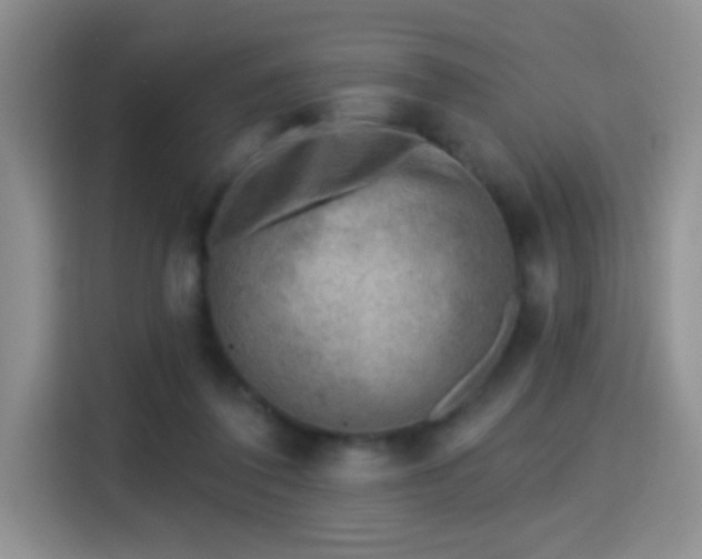X0000115380308200911101312