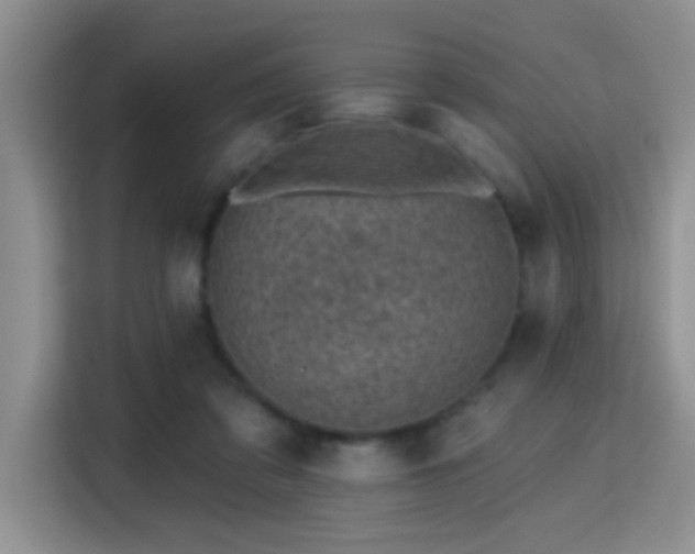 X0000115380309200911101312