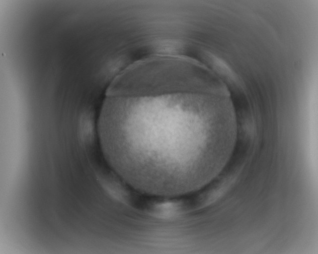 X0000115380312200911101311