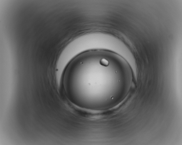 X0000115380313200911101311