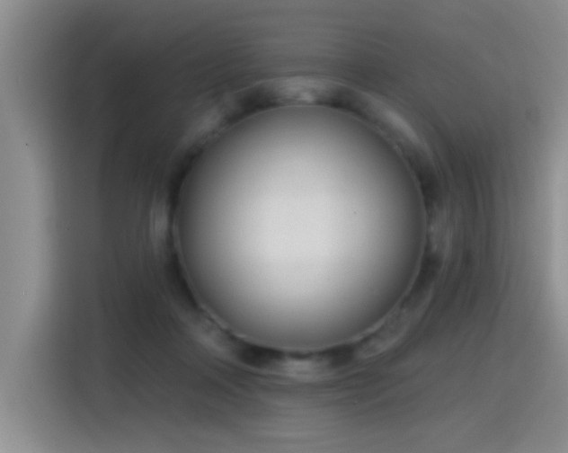 X0000115380314200911101311