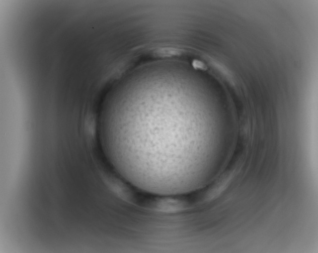 X0000115380315200911101311