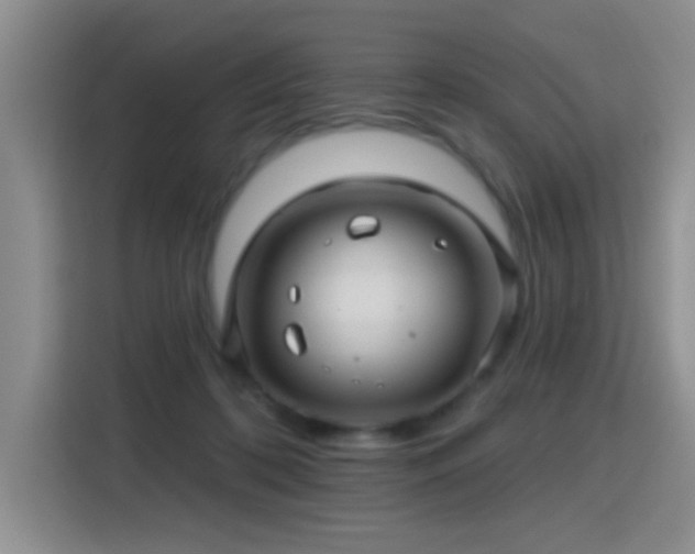 X0000115380316200911101311