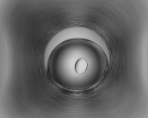 X0000115380317200911101311
