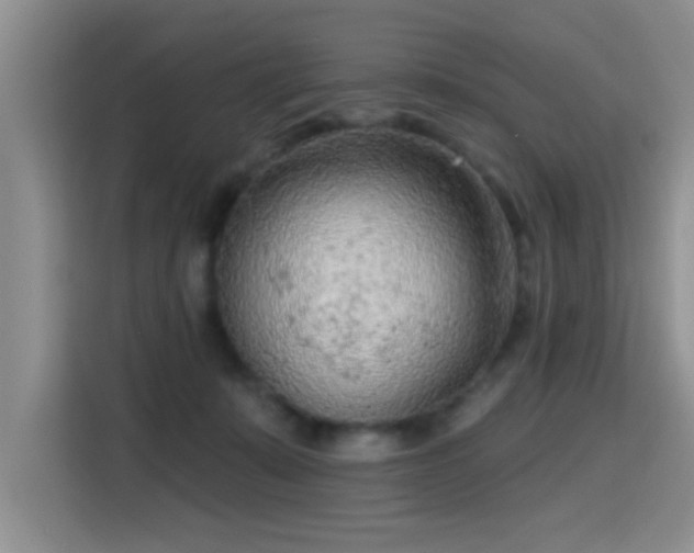 X0000115380319200911101311