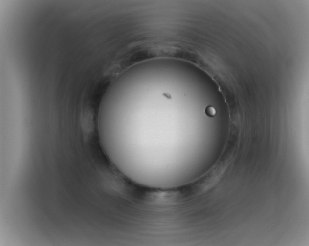 X0000115380323200911101311